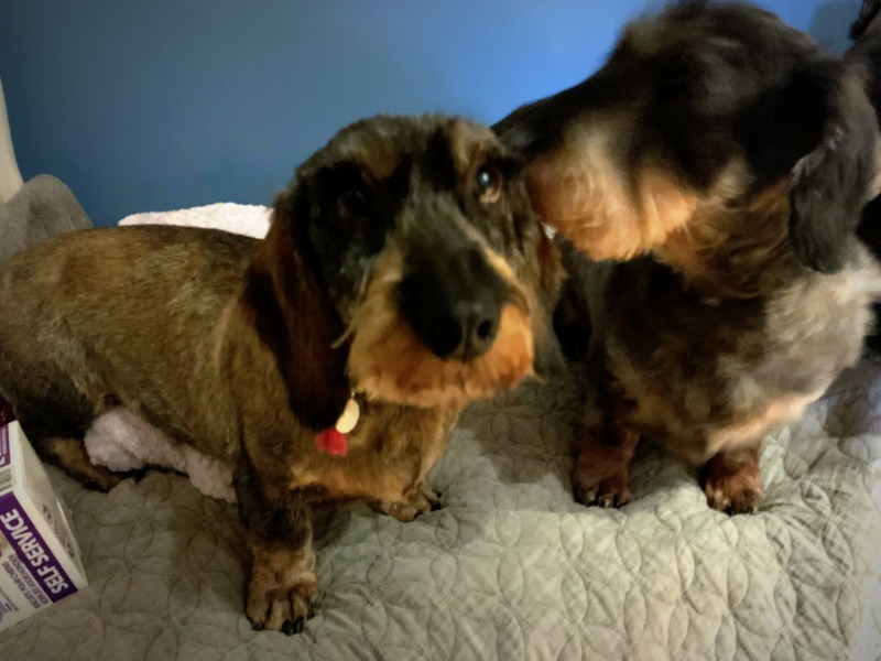 [Image: IMG-0400.jpg]