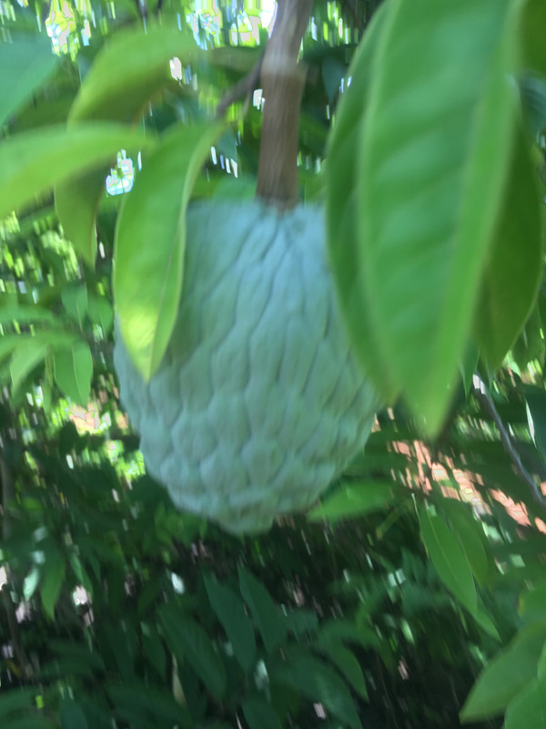 392943EF-19B3-4615-B186-6E2B66C95826