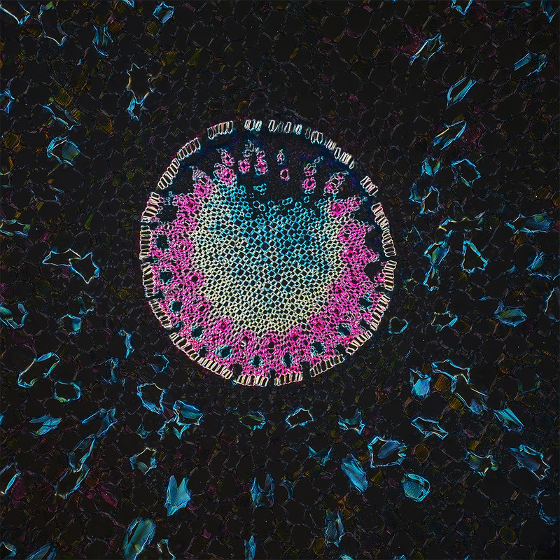 10x DMap TPnd 2048 B CA