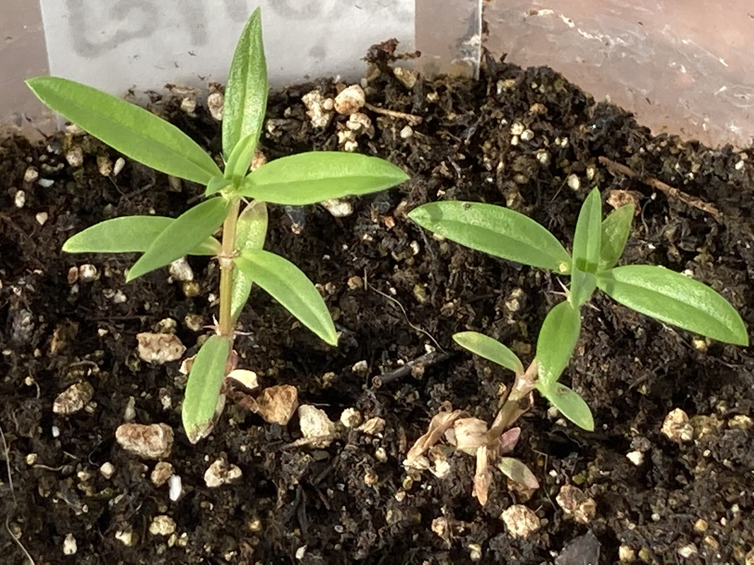 F9475429-FD11-4E4E-B7E1-1CC53DDDBECF