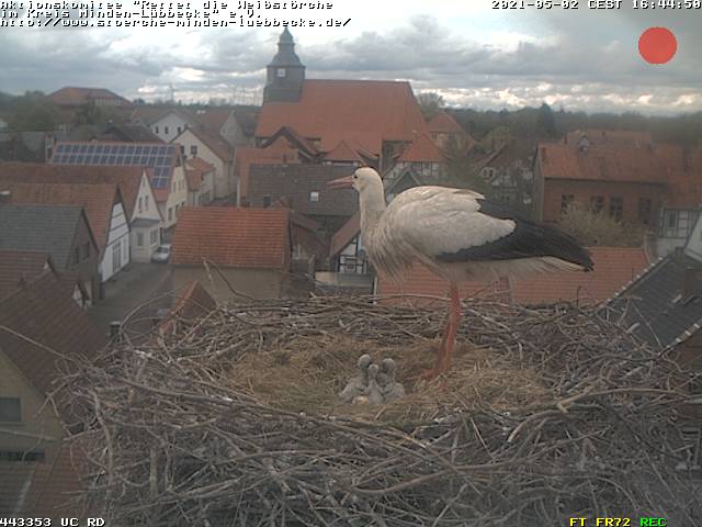 2021-05-02-1644-4Kü