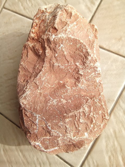 IMG_20211221_132201_544