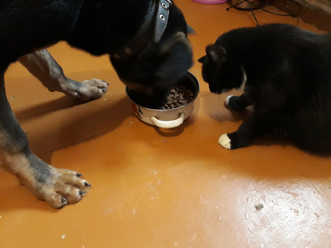 изображение_viber_2020-03-01_13-40-26