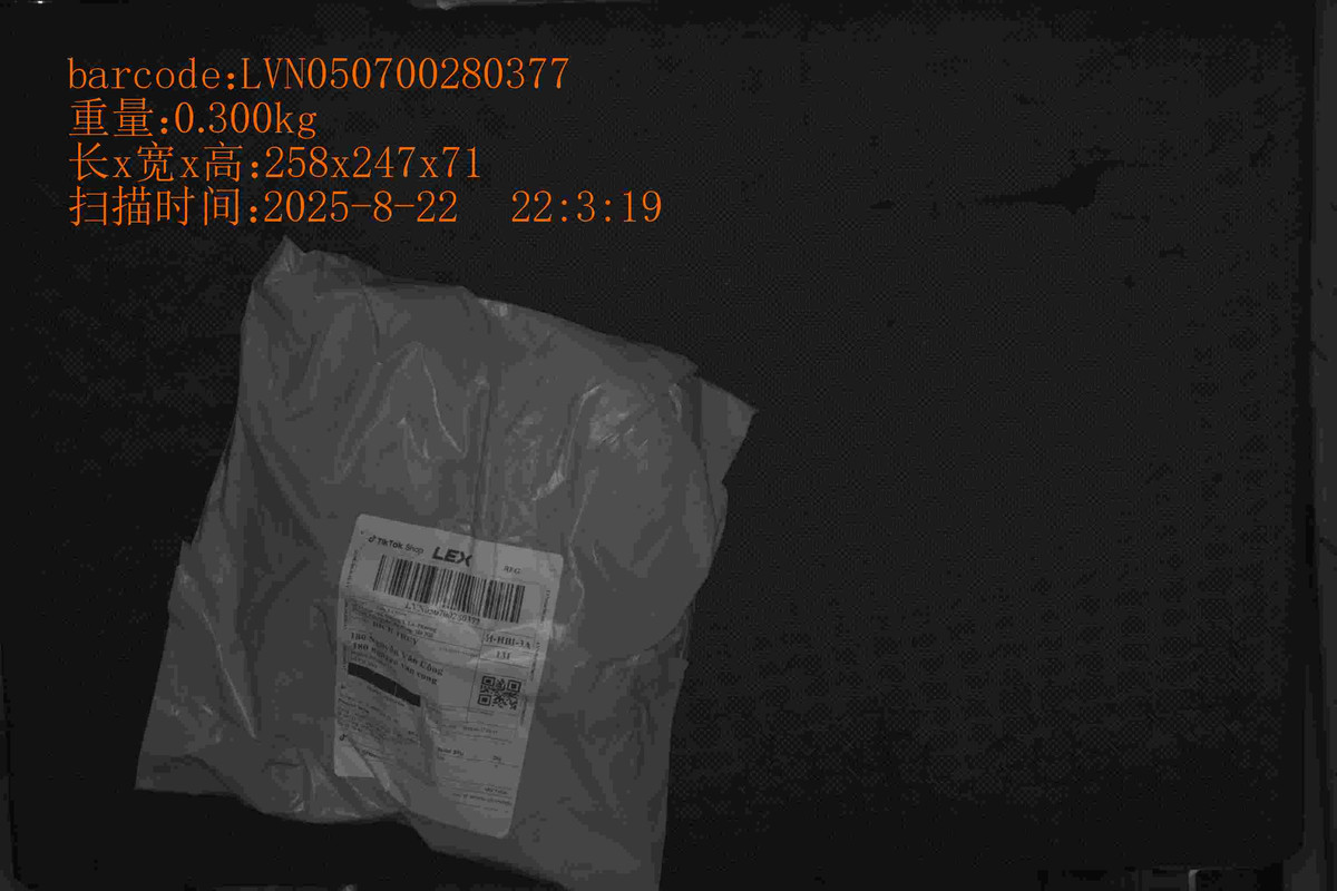 LVN050700280377_258_247_71_0.300_2025_8_22_22_3_19