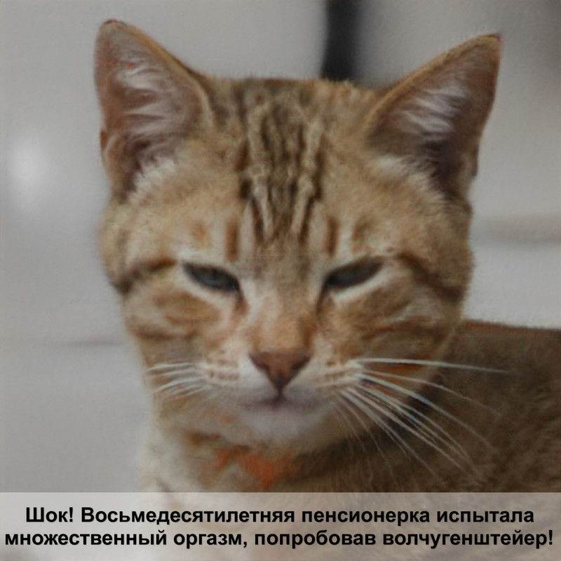 как сделать домик для кошки из картонной коробки