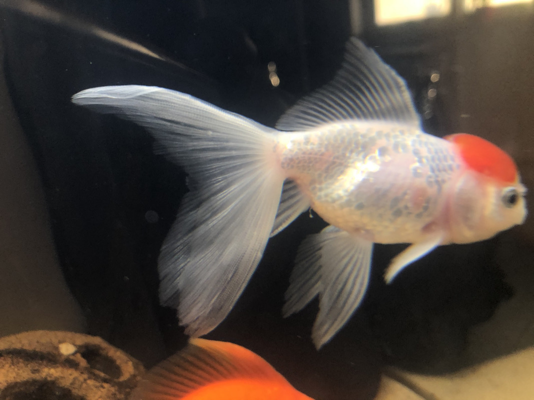 B57604FD-CAD2-4E19-8E92-E09C35A29FFB