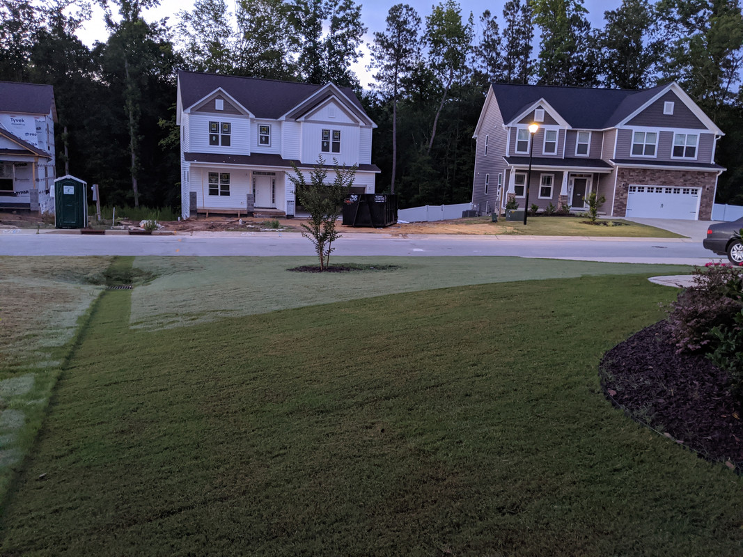 MVIMG_20200618_054323