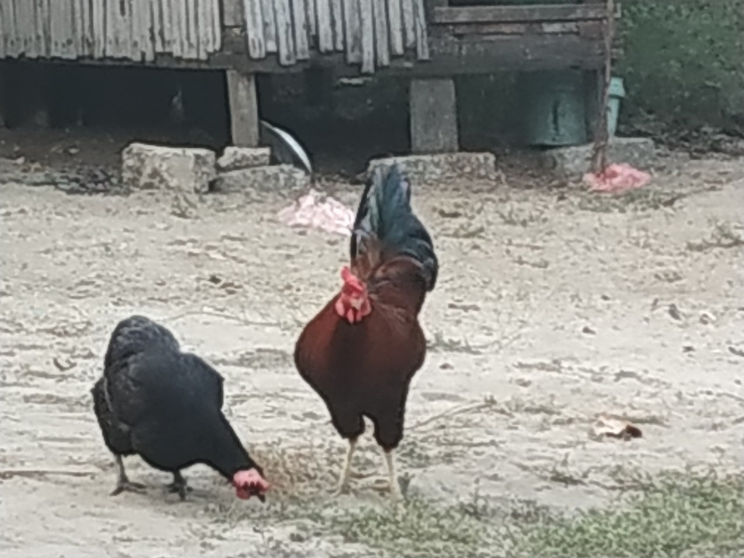 IMG-609be4463f163676072d2e96cc0bf6be-V.j