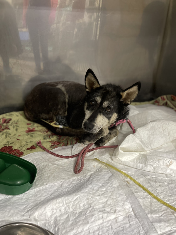 72441C32-2684-4F3D-8140-896EF9969ED8