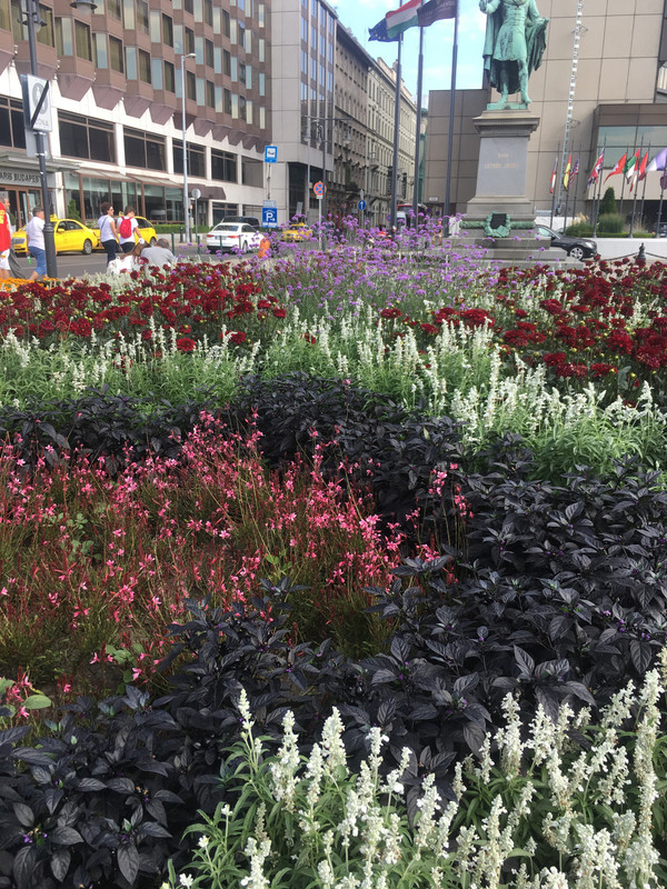 CFBF0ADD-D86C-4A49-A9F3-3AB04FD81D02