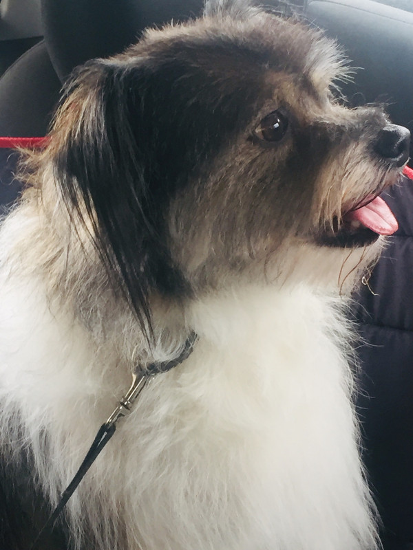 7259F16D-5588-43EB-B7AE-94A4B364CF20