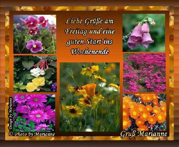 An den Beitrag angehängtes Bild: https://i.postimg.cc/0yj8rtyg/61-Liebe-Gr-e-am-Freitag.jpg