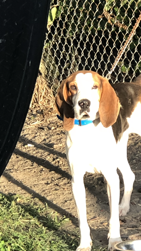 C91B13C3-B3DB-4ABD-B6A3-E7D026AEFDE9