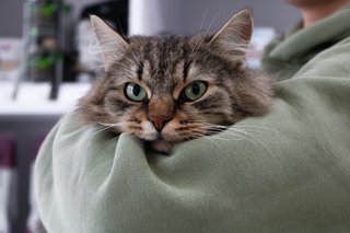 9A573FE3-A42F-44C3-AC5E-8742590A97C6