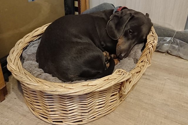 [Image: DSC-3437.jpg]