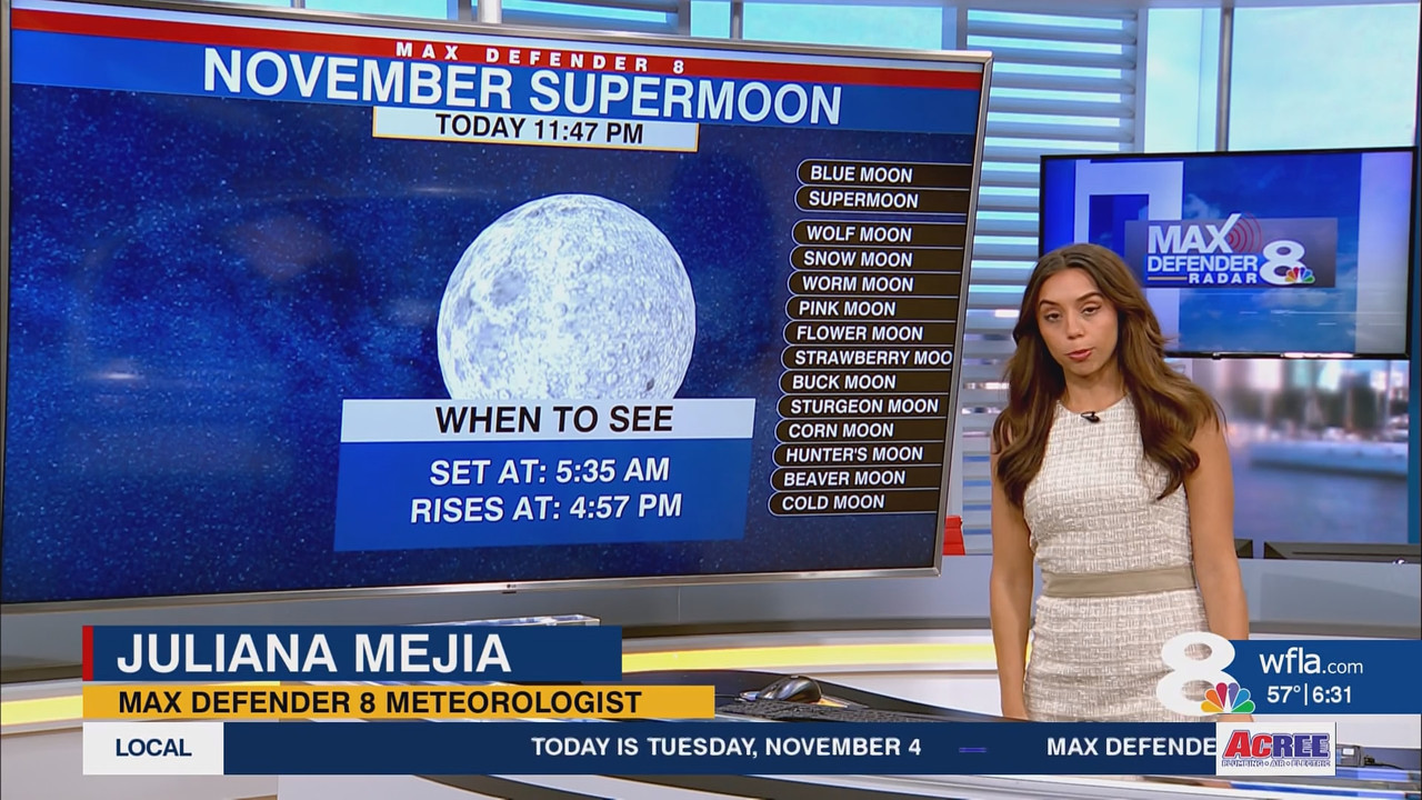 News Channel 8 Today at 6a 20251104 11001200 ts snapshot 00 32 12 160