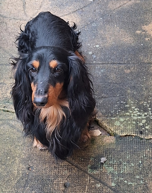 [Image: 20250110-150422.jpg]