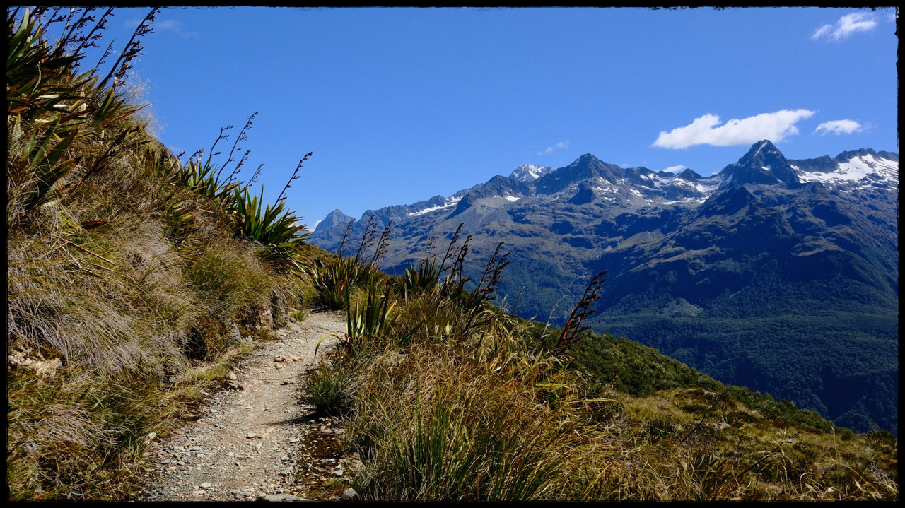 Routeburn versión extendida: Valley of the Trolls, Lake Wilson, Caples (feb. 26) - Escapadas y rutas por la Nueva Zelanda menos conocida (48)