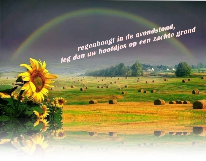 Klik op de afbeelding om de link te volgen
