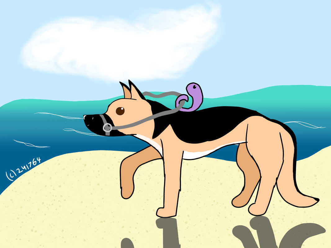 F920B14B-6066-444E-9B19-F3B839CF6CDD 3