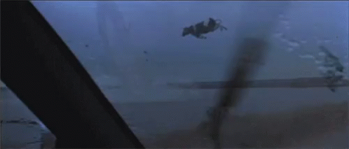 6-F7-D1-B54-6003-40-FC-A2-C7-2-C07-BEBCD75-F.gif