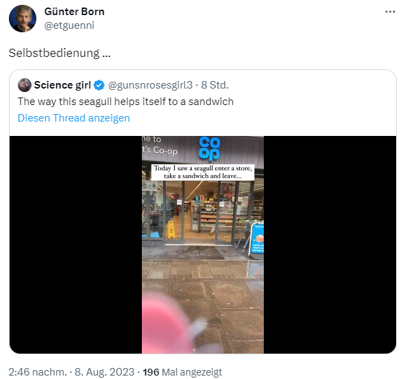 Seemöve stibitzt Sandwich