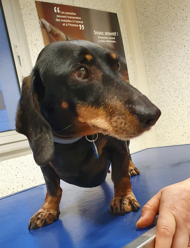 [Image: 20230118-081218.jpg]