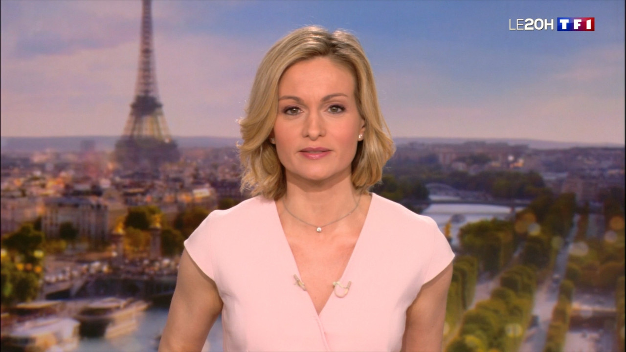 2021-04-24_20_00_TF1_Le-20h.mp4_snapshot_00.21.23.806