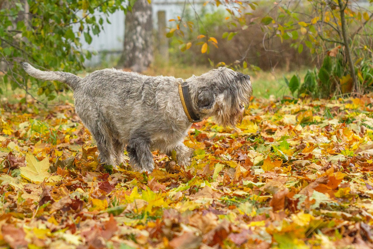 0BBhrN6Ruo4vzCmCQZxoZXOL0UnrdFmmIOPnG5Bjnd8fw6GiMbsuM509vvI2qobbfqxb93N0CWcEj0WNv9A6c411