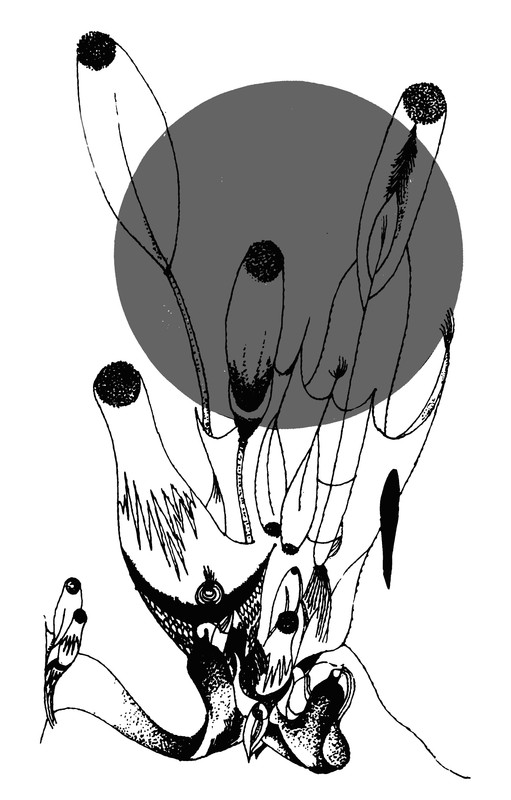 p0002