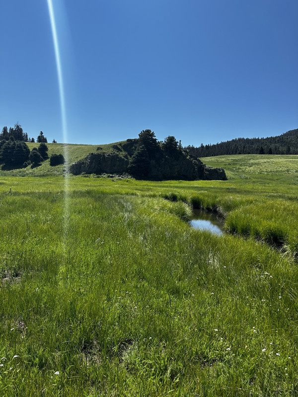 8176A9C0-DA62-42C3-9375-AFB2DD810760