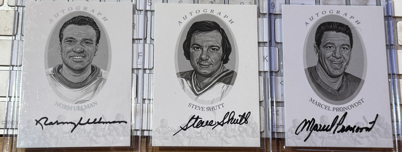 IMG 2762