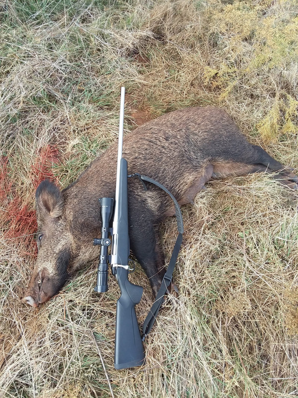 1212B72C-D7F0-46DA-94F8-A655AF7EC1F1