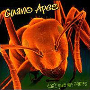 Re: Guano Apes