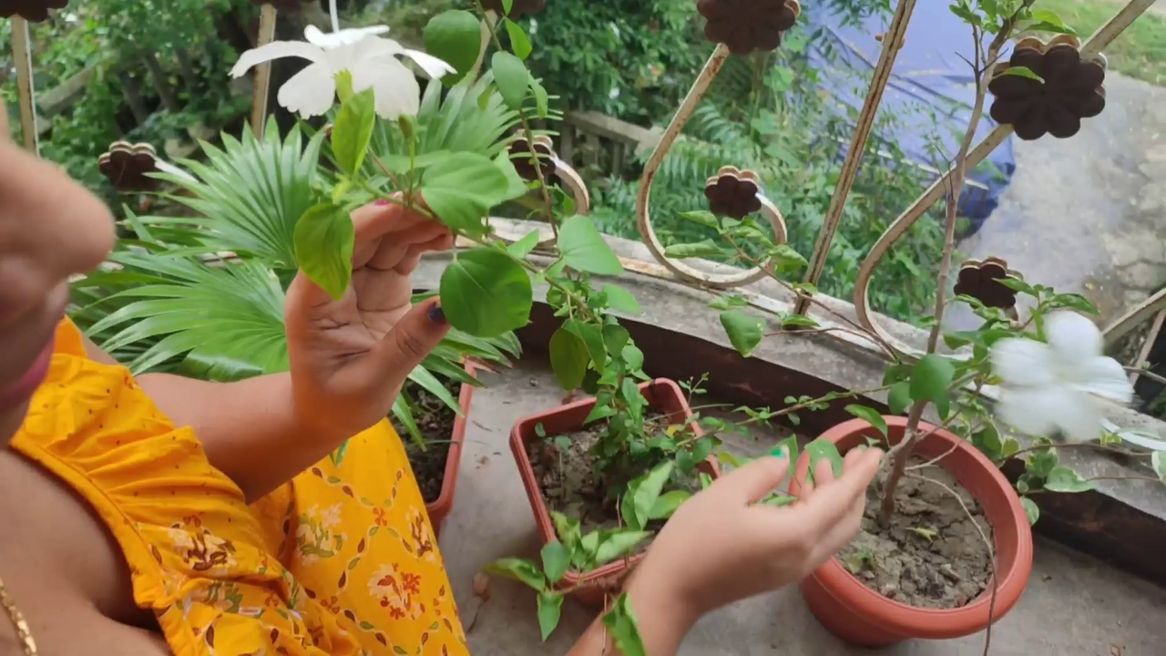 vlcsnap-2022-09-09-12h17m51s321