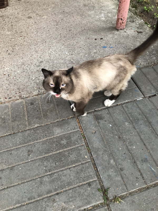 A7A74E8E-F50B-4A7E-B10E-61CFCF9A5050