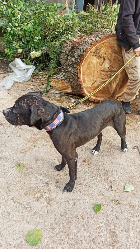 WhatsApp Image 2022-09-04 at 16.36.02 (2)