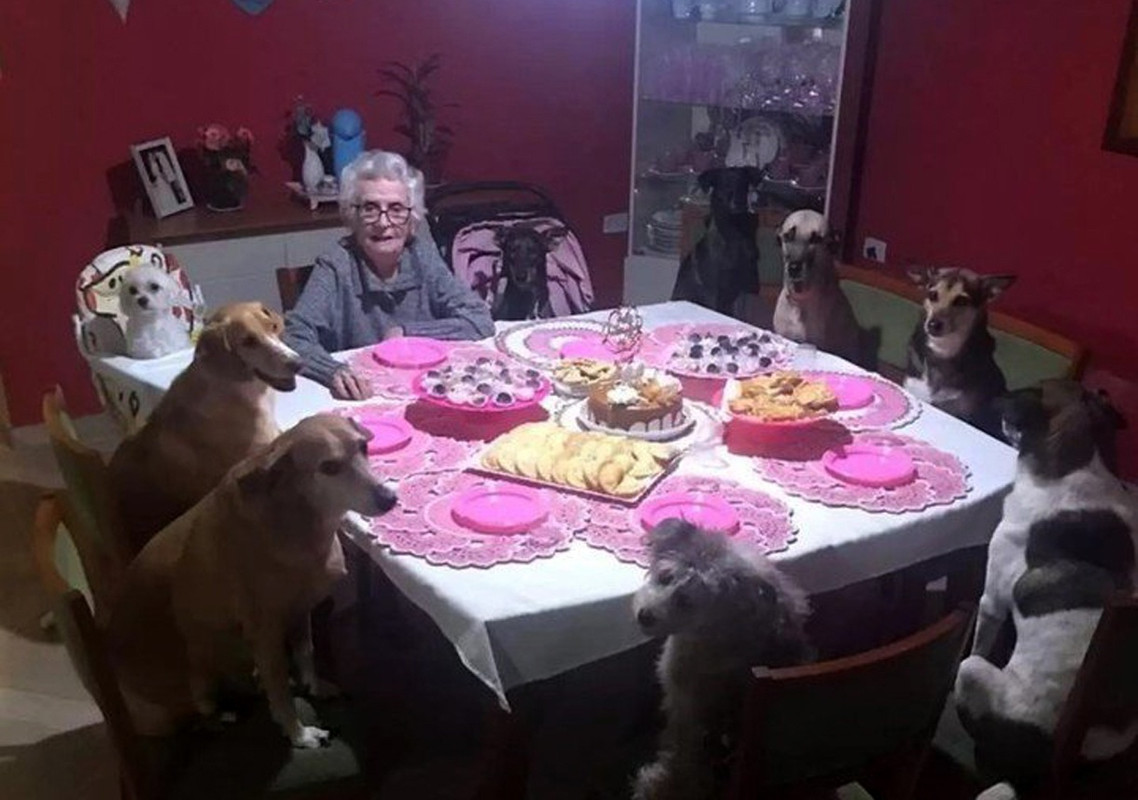 Abuelita festeja su cumpleaños con sus perros, 10 canes eran sus invitados
