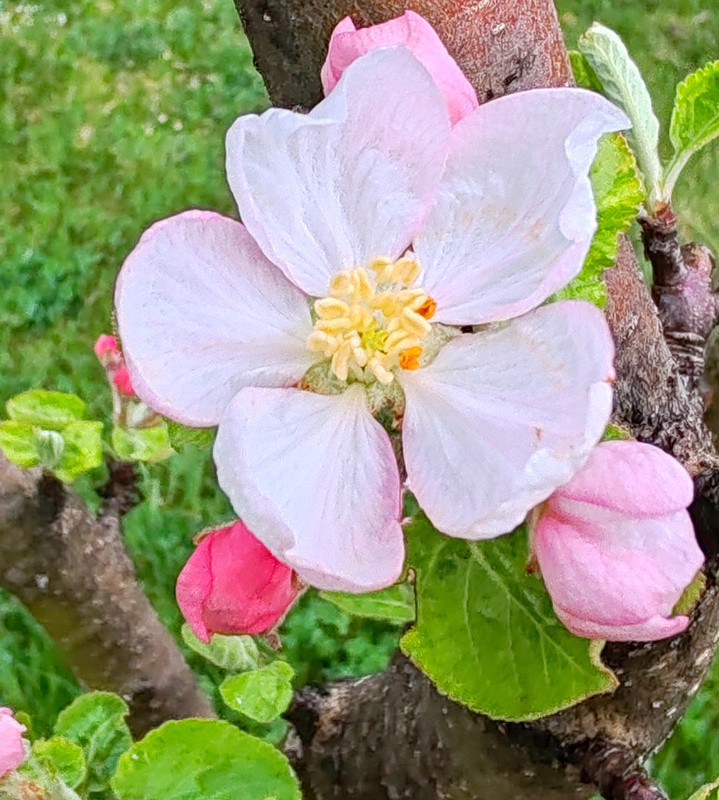 IMG 20260413 190654bb