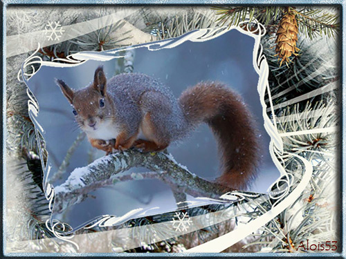 eekhoorn-in-winterlandschap