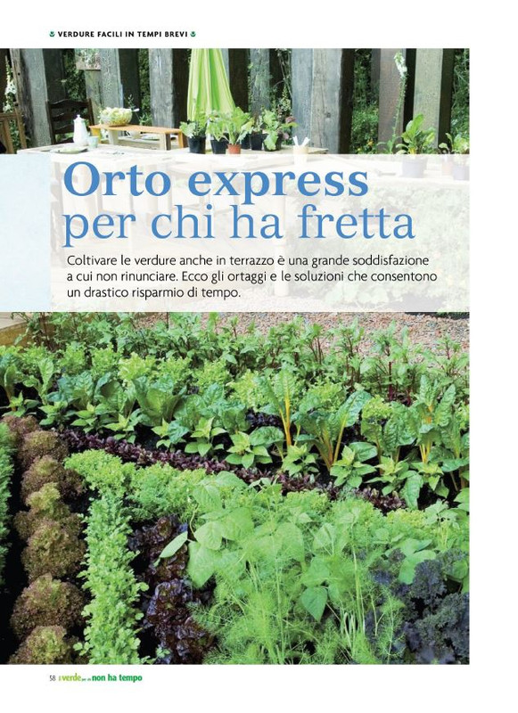 Pol Ver Spe Apr-Mag 2023 (7)