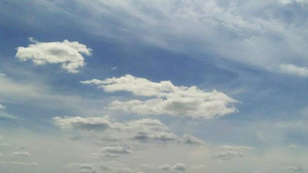 IMG-2019-05-23-121549.jpg