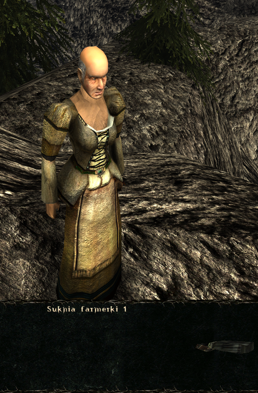 pancerze i ubrania (44)