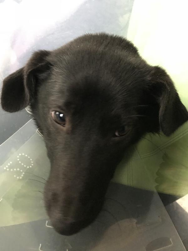 зелB68-E797-D-EBA7-4-FF0-92-CA-6-FCAAF5-C73-EB