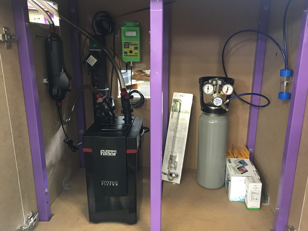 9EA8B8A1-B495-468D-82D8-27428BB3F0B4