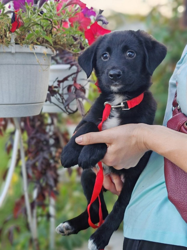 InCR9hEjrYnzlmFqruw_aQXKV2HyihZf2Zn314WKXSgFS4kqqPteLOgfAQFJn7O4yjNPTUne1AEa_1M8qkju8j4r