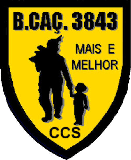 CCS-BCac3843