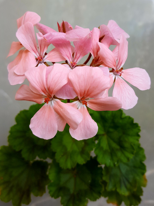 20190503_151034