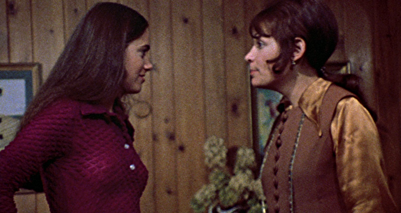 The Last House on the Left (1972) (1080p BDRip x265 10-bit - Erie)[TAoE]07