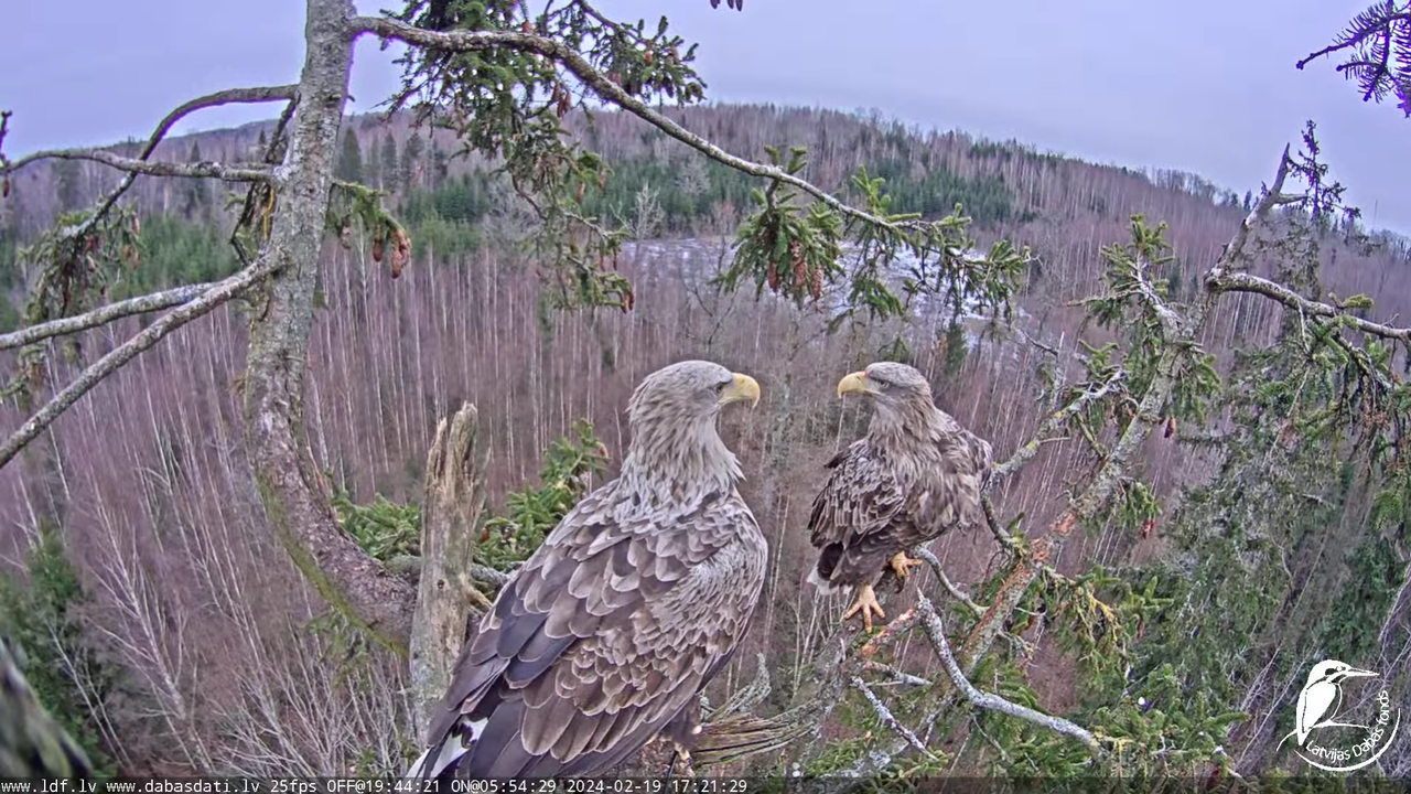 Screenshot (67128) - Copy